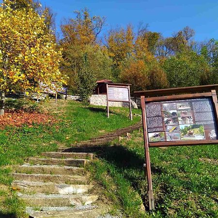 Vila Trnoruzica Tuhelj Bagian luar foto