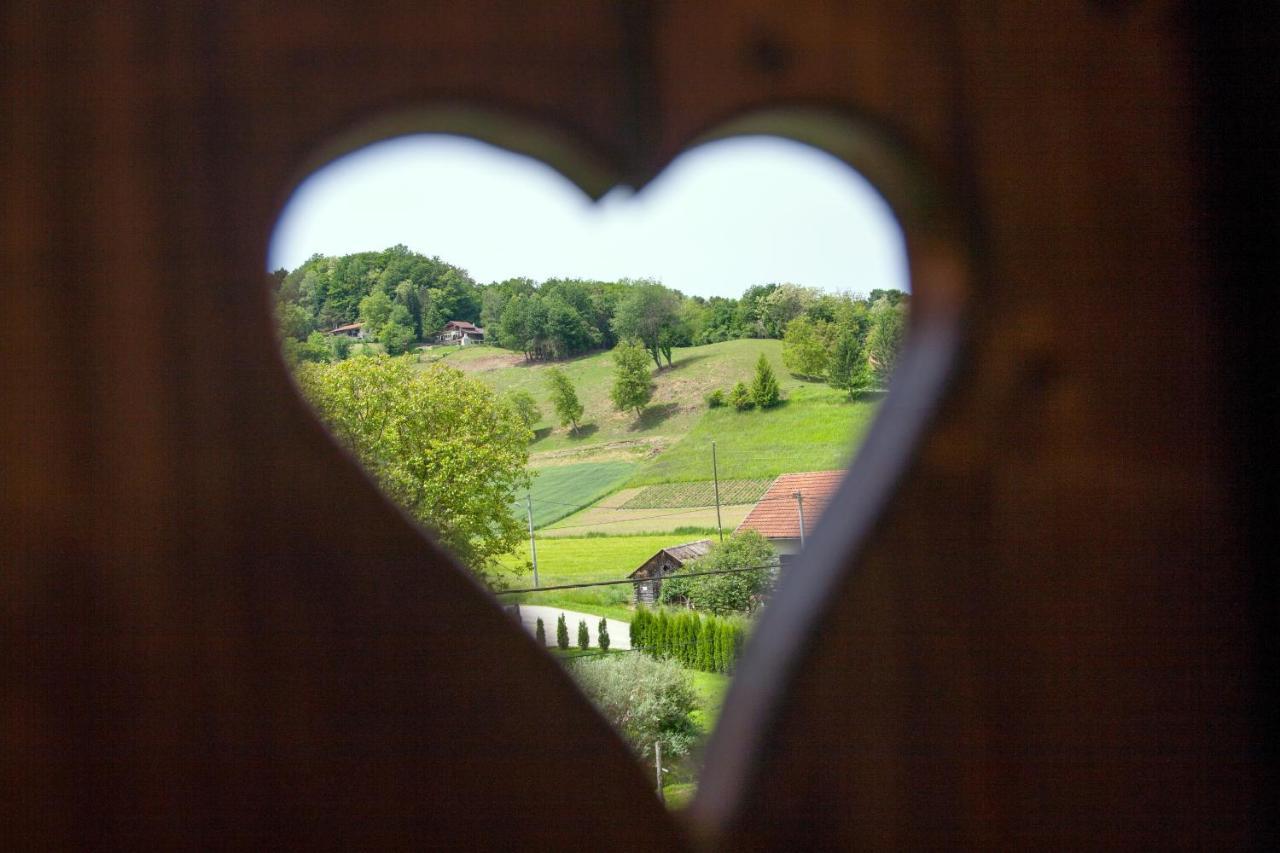 Vila Trnoruzica Tuhelj Bagian luar foto