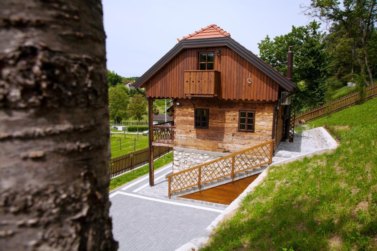 Vila Trnoruzica Tuhelj Bagian luar foto