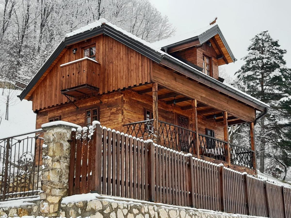 Vila Trnoruzica Tuhelj Bagian luar foto
