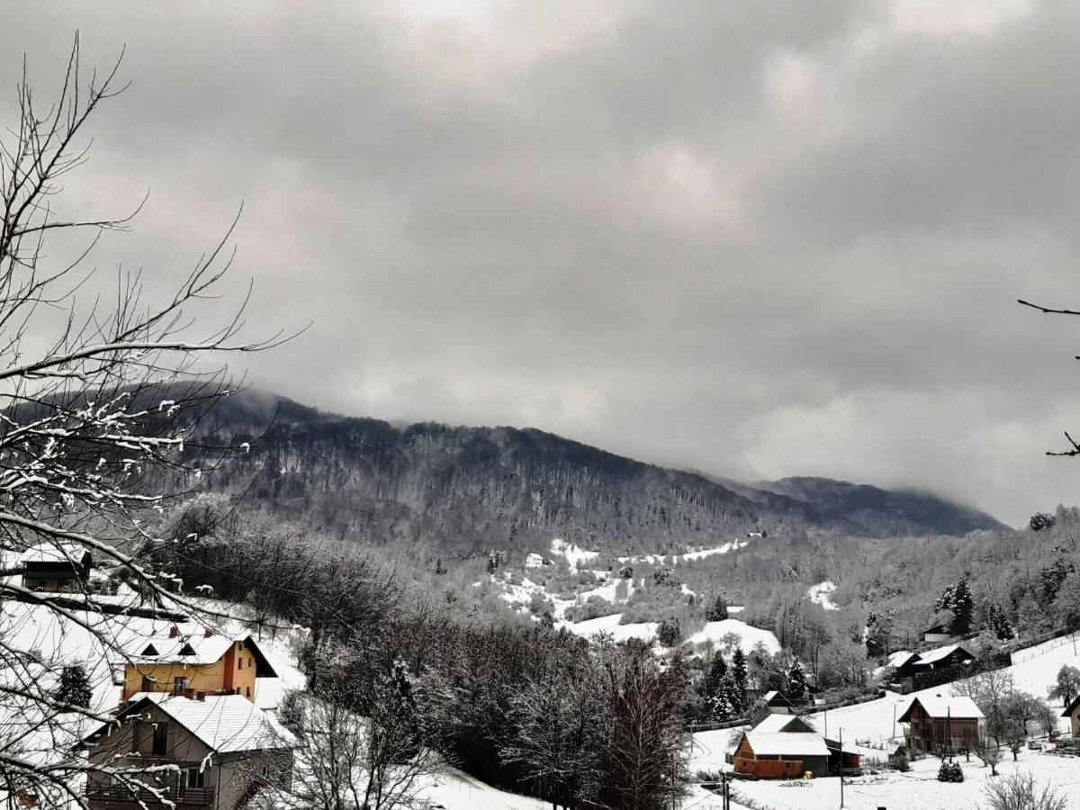 Vila Trnoruzica Tuhelj Bagian luar foto